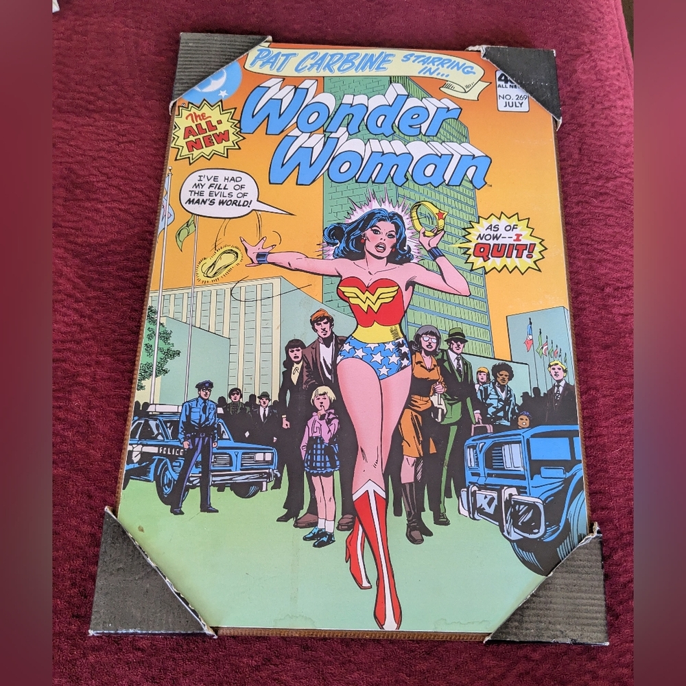 Warner Bros. Wonder Woman Comic Art - Orange, Blue, Red Wood 19X13